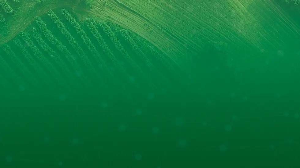 FundoApex.webp