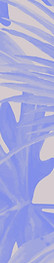 Tropical blue leaf background