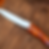 IMG_1219.PNG