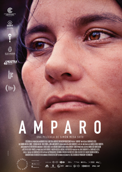 Poster-Amparo-alternativo.jpeg