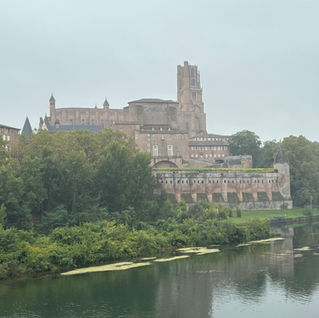 Albi