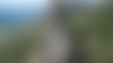 Vertrauen wir genug?