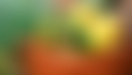 Die Offenbarungen des siebenten Monats