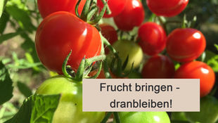 Frucht bringen - dranbleiben!