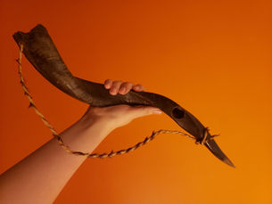 Junge, der ein Schofar Horn hochhält