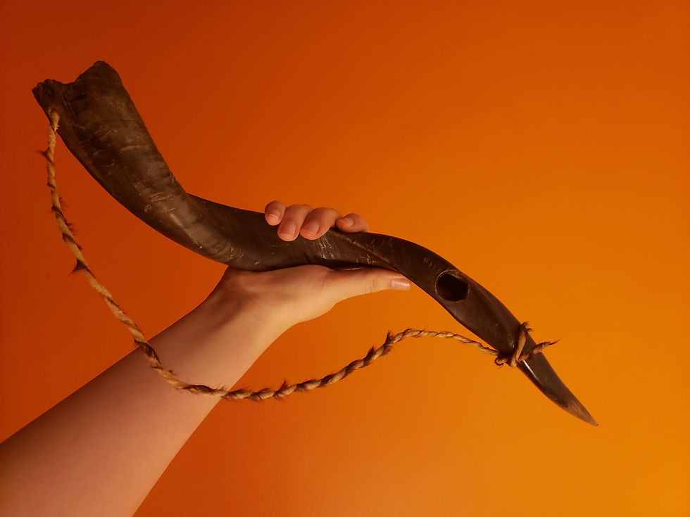 Junge, der ein Schofar Horn hochhält