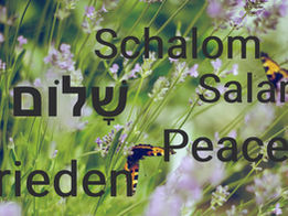 Zwei Schmetterlinge auf einer Wiese – ein Symbol für Frieden, der in vielen Sprachen verbindet: Schalom, Frieden, Salam, Peace, שָׁלוֹם.