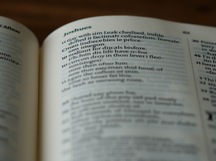 das Buch Josua lesen