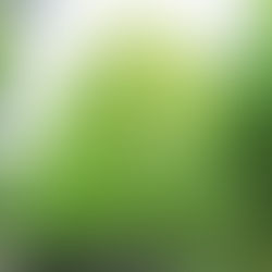 Part III : The teacher ensures that we are not dependent on them, because that means lack of progress