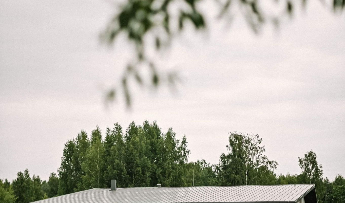 Kupinsala-40.jpeg