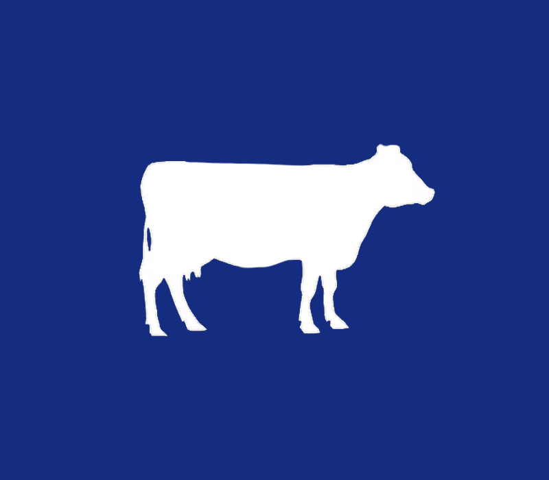 Dairy