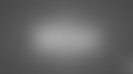 The 5 Most Ridiculous Questions We Get Asked All the Time