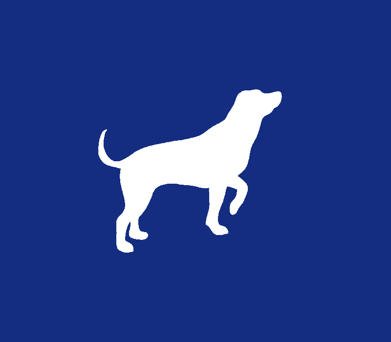 Pets
