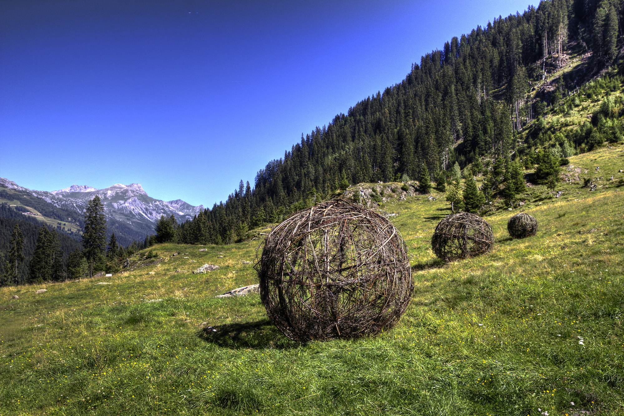 Moving Willow Balls