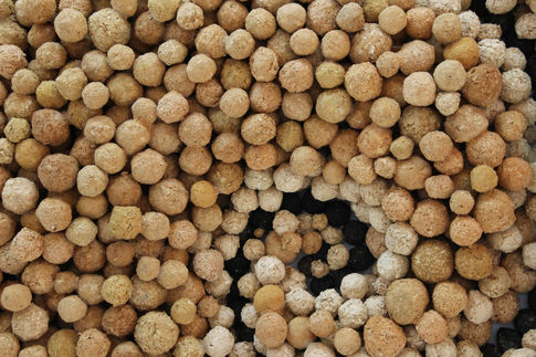 Detail of 'fibonacci'