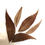 Miniature : Walnut Leaves For Shrimp Tanks