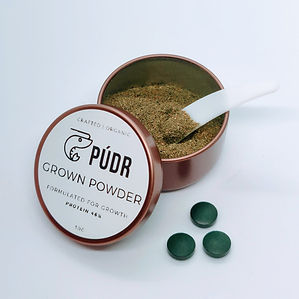 PUDR Shrimp Food Powder Protein