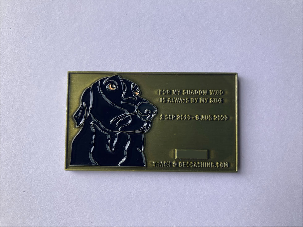 Thumbnail: Open Sesame Geocoin (Antique Gold)