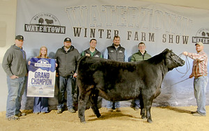 FS25_Simmental Foundation Heifer Gr.jpg