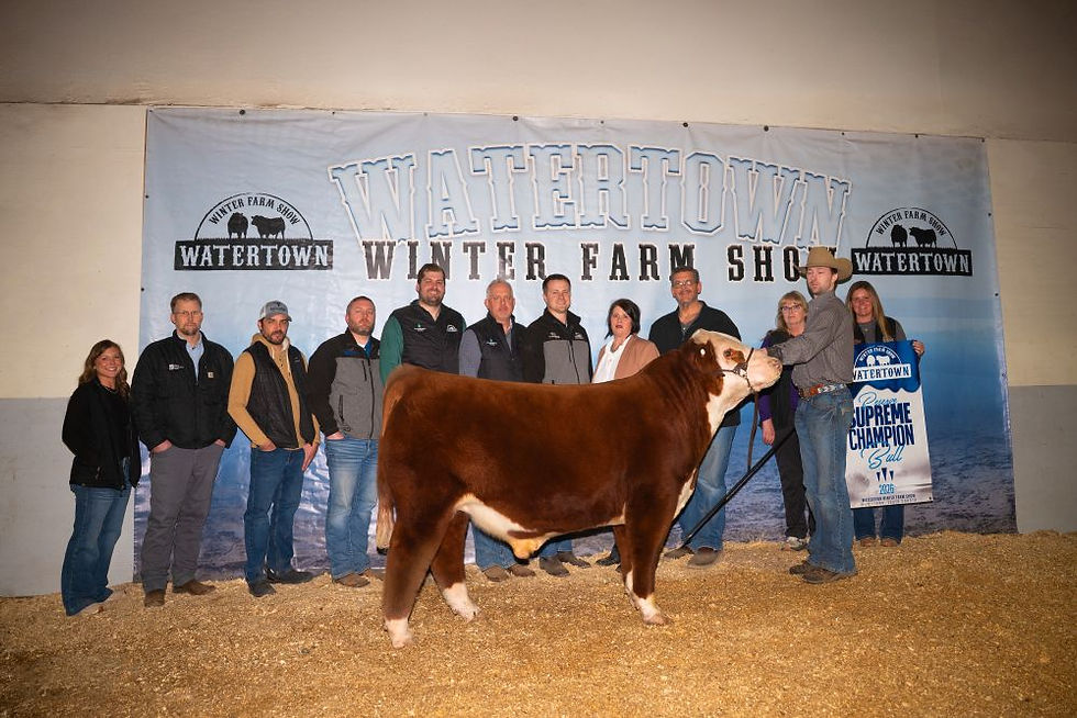 WWFS26_ReserveBull_Lot 19 Neil Farms_Hereford_1000px