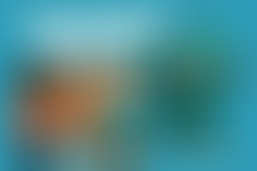 Blog 6 – I Can Dress Myself!