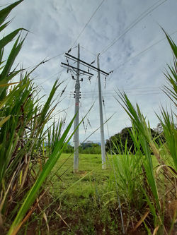 Construcción redes MT - Pitalito, Huila 1