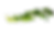 feuille3.png