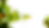 feuille5.png