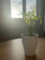 IMG_4646.jpeg