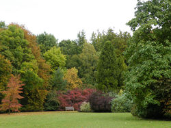 Trees