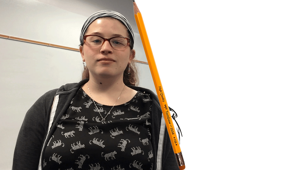 Animation Project 2016