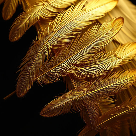 gold feathers.jpg