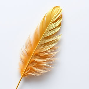 gold feathers.jpg