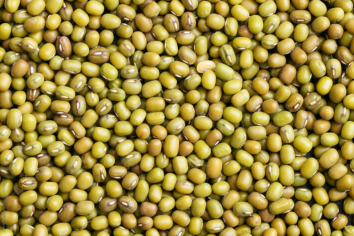 Mung Beans