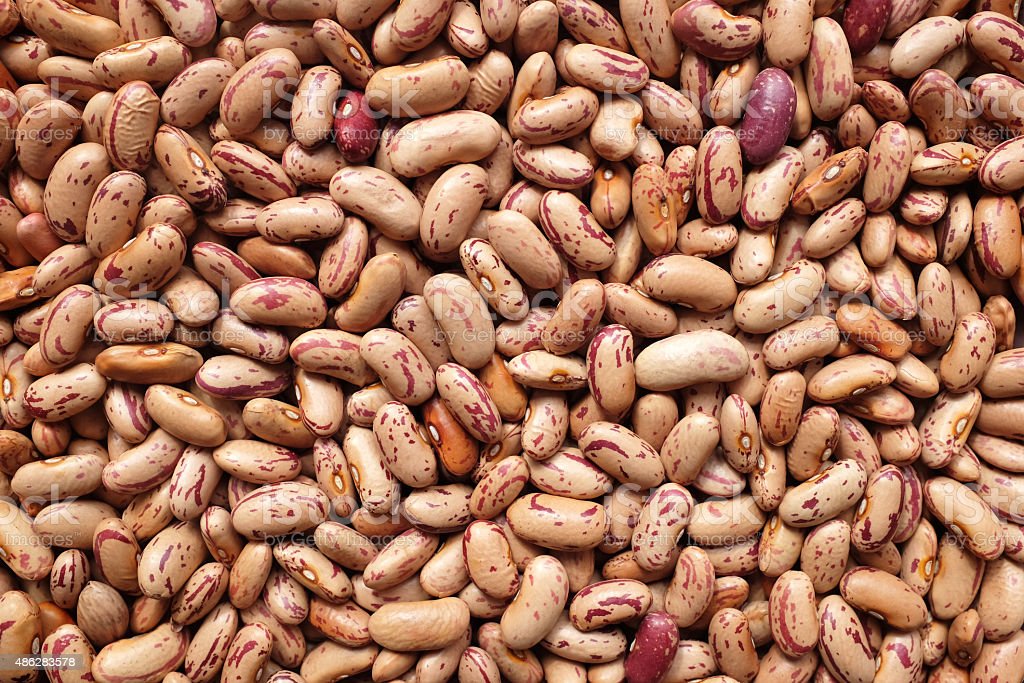 Cranberry Beans