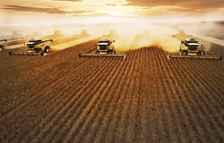 A man pointing at his laptop screen