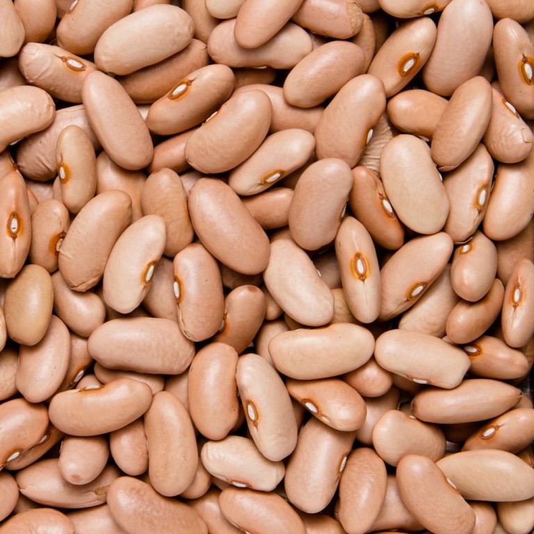 Canela Beans
