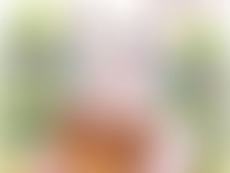 'Whither' the price of chocolate?