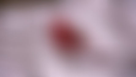 Driver of the Month - January 2026