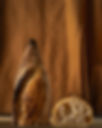 baguette-background_edited.jpg