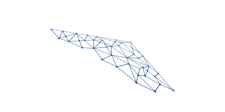 Abstract Polygon Network
