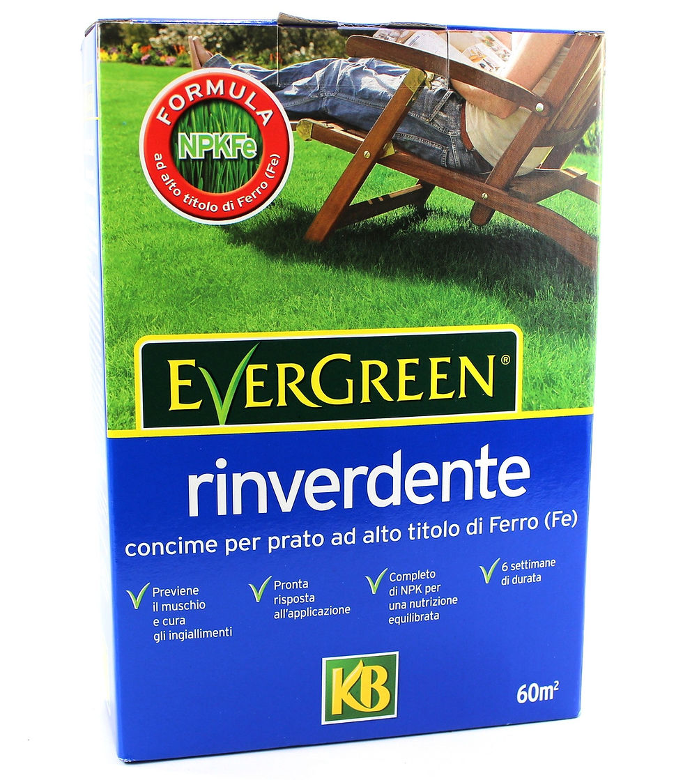 RINVERDENTE