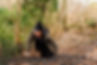 child in netting 2
