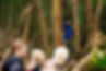group exploring