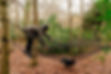 children in netting