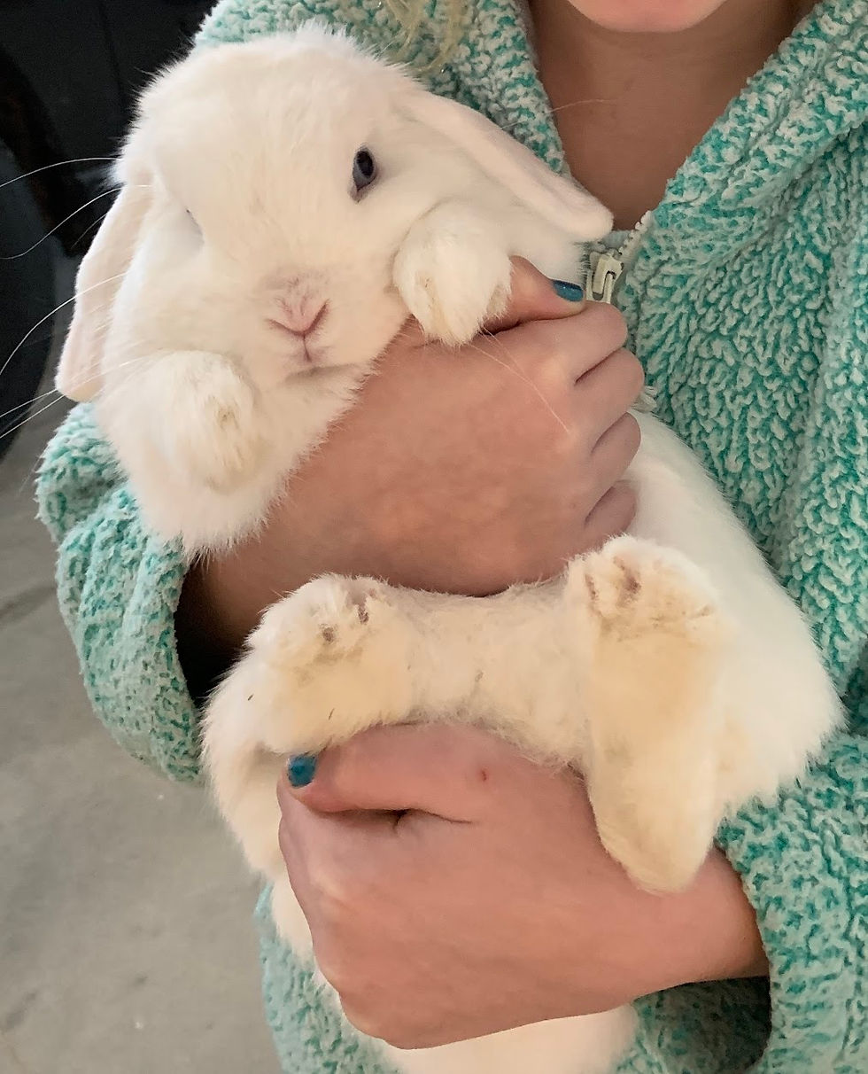 Ava holding Snowball our pet bunny