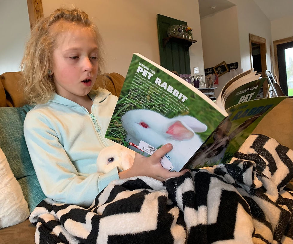 Ava reading Training Your Pet Rabbit to Snowball