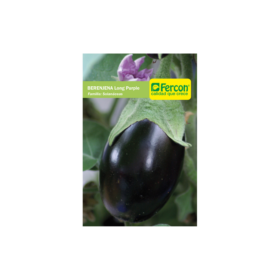 Semilla Berenjena Larga Fercon
