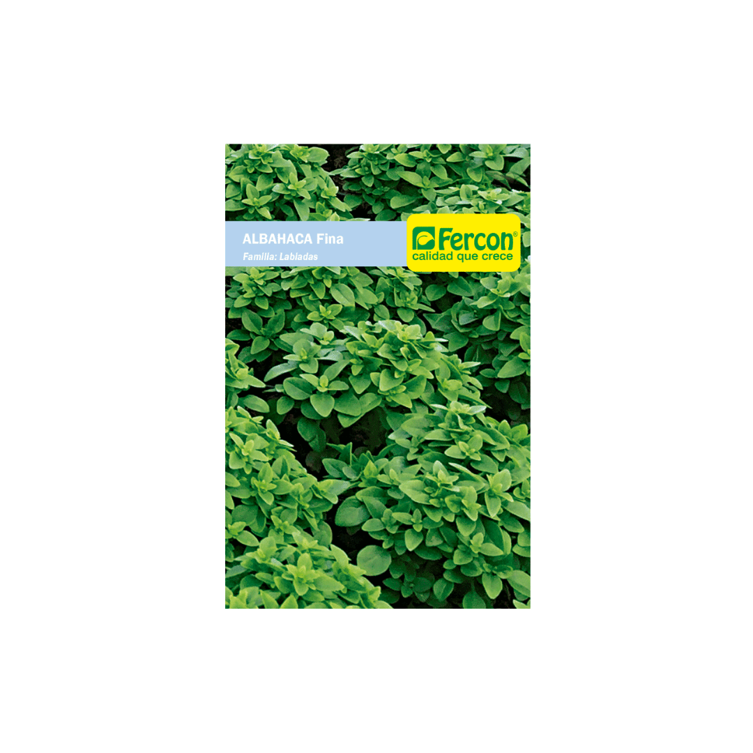 Semilla Albahaca Fina Verde 2020