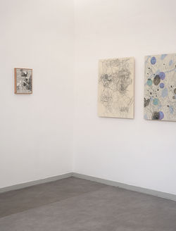 צילום: יאיר ברק